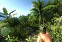FarCry 3