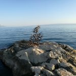 Huawei P9 recenzija 19 More i galebovi